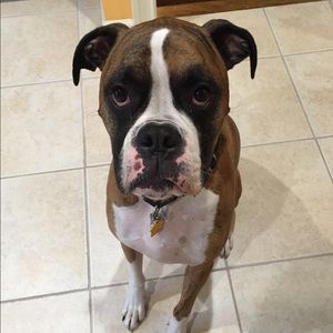 Meet your Posher, Alison